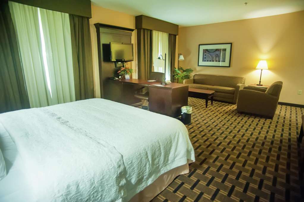 Hampton Inn&Suites Palestine Habitación foto